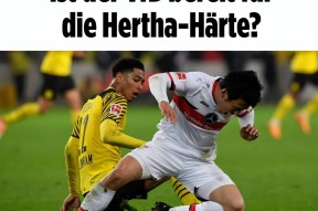 里程碑夜！上海申花防线松动，德甲冲刺阶段刷纪录，话题不断，纪律约束更严格的简单介绍